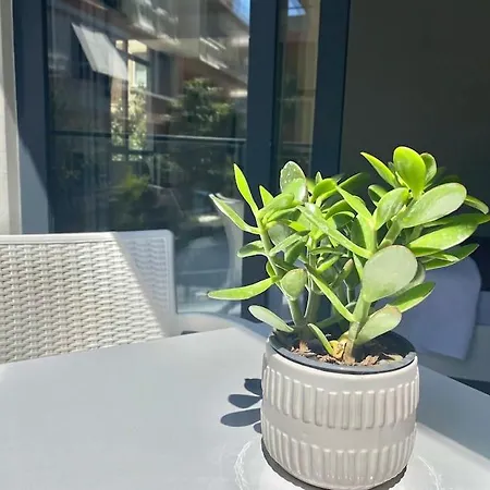 Apartment Jasmin 3 Alanya